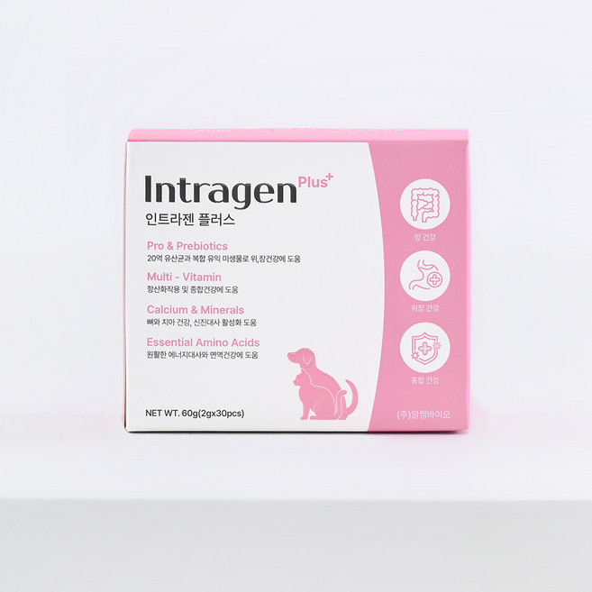 인트라젠 반려동물 영양제, 60g, 장건강/유산균, 1개