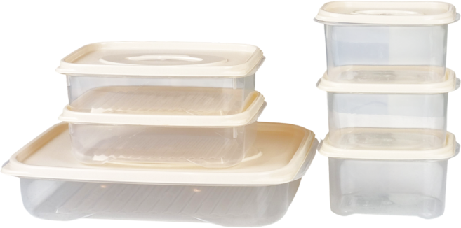 DAMDA 담다프레시 전자레인지 보관용기 냉동밥, 1세트