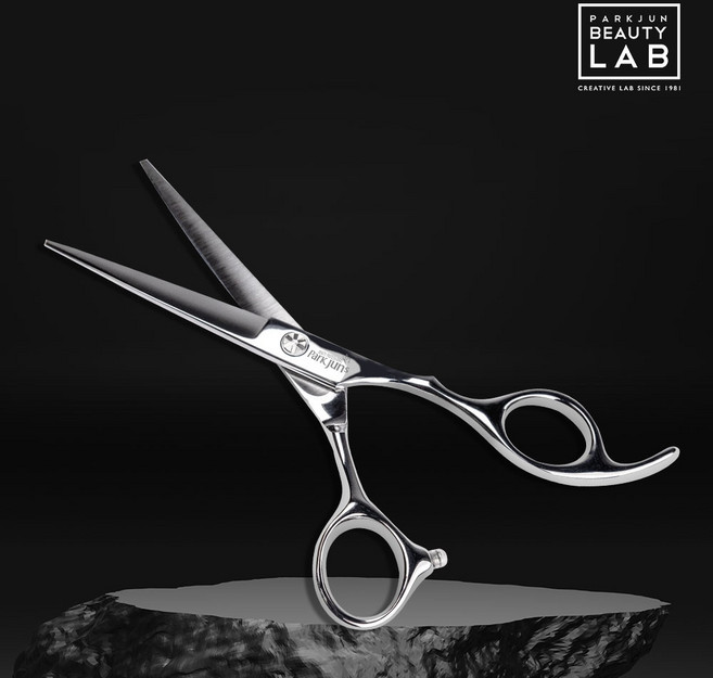 박준 프로페셔널 전문가용 헤어 커팅/틴닝 미용가위 (택1), 1개, 01.박준 프로페셔널 커팅가위