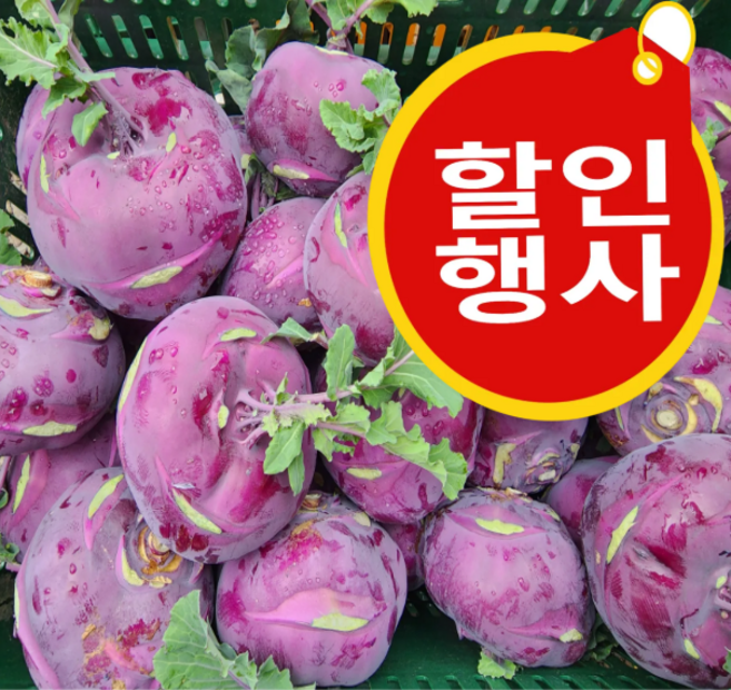 <농부바구니> 아삭달달한 제주 콜라비, 1박스, 특품 2kg