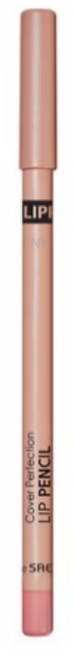 더샘 커버 퍼펙션 립 펜슬 2g, 03 (PEACH) 피치, 2개