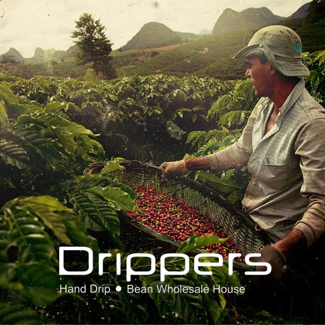 소살리토 - 드립퍼스 블렌딩 로스팅 원두커피, 1kg, ① 원두그대로(홀빈), 1개