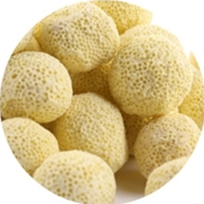 슬로우케어 여과재 어항 박테리아제 추천 420그램, 1개