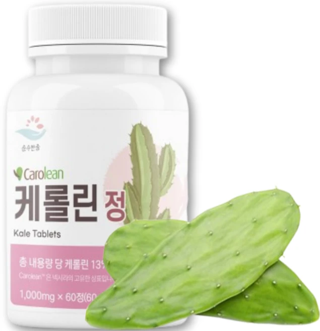 100% 유기농 노팔 선인장 블락킹 다이어트 노팔선인장 블락킹 분말 멕시코 산 노팔 선인장분말 영양제 glp-1 유산균 비만 치료제 다이어트 100 % 식약청 HACCP 인증, 3개, 60정 - 쿠팡