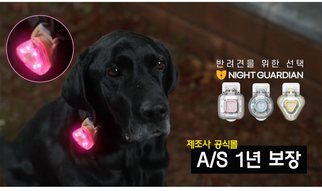 나이트가디언P 반려견 야간 산책 LED 야광 목걸이 클립형 USB 펜던트 방수 후레쉬 강아지 멍멍이, 3개