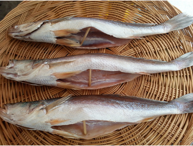 뾰족조기43-44cm 3마리 제수용생선 반건조생선 말린생선 싱싱수산 파는곳, 3개