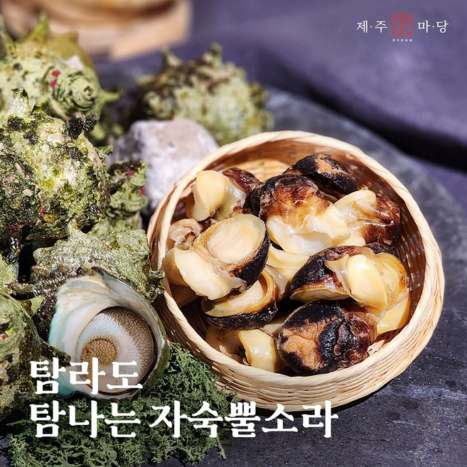 제주가마당 제주뿔소라살 100g x 5팩, 5개