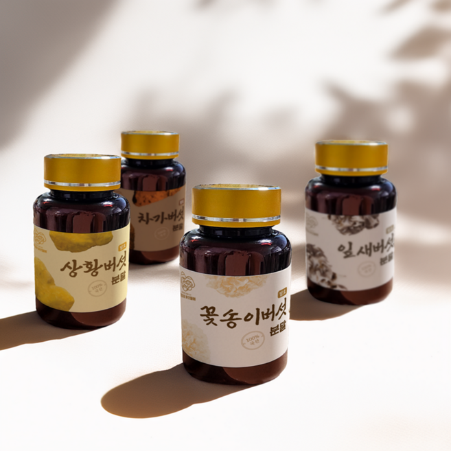 함량 100% 순수 버섯분말 면역버섯 파우더, 상황버섯 분말 100g