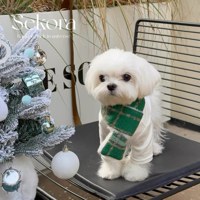 세코라 강아지 고양이 크리스마스 목도리 겨울 포근이 머플러, 1개, 그린체크