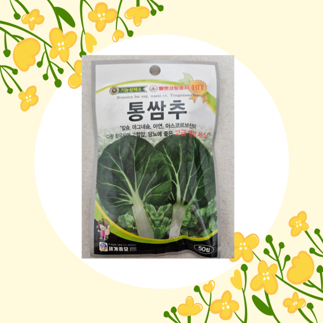 통쌈추 고급영양채소 세계종묘 50립, 1개