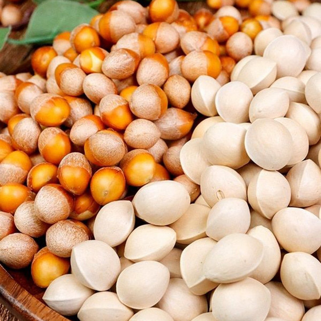 구쁜참 탱글탱글 햇은행 충남 공주 청정 은행 100% 3종선택 건강지킴이, 구쁜참 피은행(중), 1kg, 1개