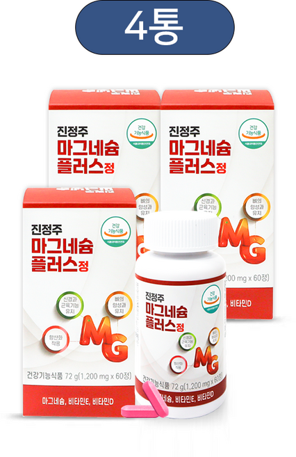 진정주 마그네슘 플러스정(60정), 60정, 4개