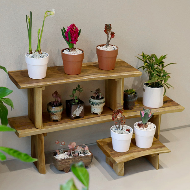 티크 원목 나무 화분 선반 받침대 다육이 식물 진열대, 30cm 대형, 1단