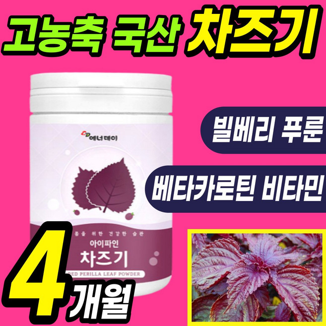 고농축 대용량 국산 차즈기 분말 가루 눈 건강 베타카로틴 미네랄 빌베리 푸룬 추출 유산균 차조기 차지기 자소엽 영양제 x 청소년 물에타먹는 간식 붉은 깻잎 파우더 추천 에좋은, 2통(230g*2), 230g
