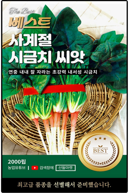 베스트 사계절 시금치 씨앗 2000립 연중재배 내서성 뛰어난 시금치씨 종자, 1개