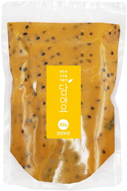 담아요 수제 망고패션후르츠청, 600g, 1개, 1개입