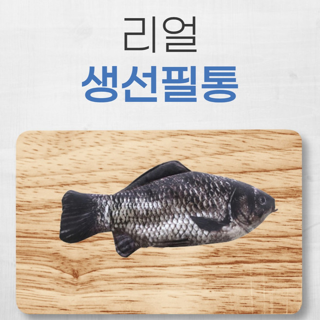 아트조이 업그레이드 리얼 생선 필통, 02 붕어 내장버전, 1개