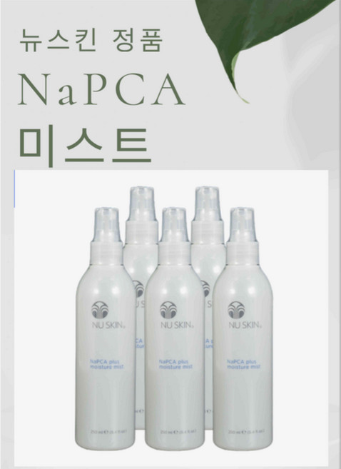 뉴스킨 NaPCA 모이스처 미스트, 250ml, 5개