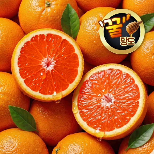 [특가상품] 카라카라 오렌지 (대과) 꿀당도 프리미엄 고당도 비타민폭발 과즙가득 신선한 수입과일, 1박스, 5.대과 X 20개
