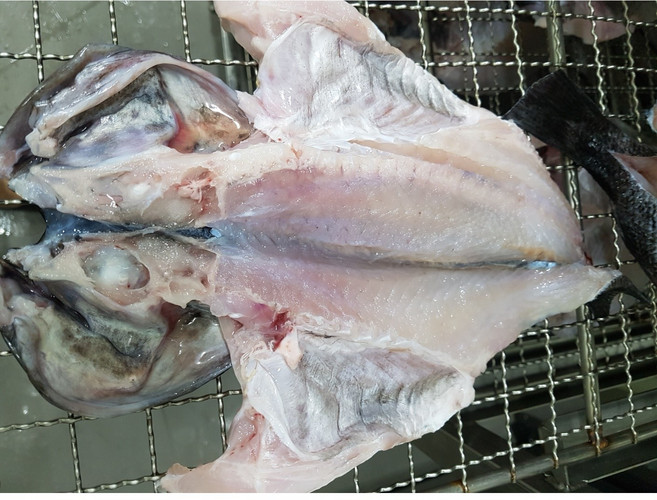 [꽉찬 속살] 국내산 특대 반건조 우럭 생선, 1세트, 350~390g 1미