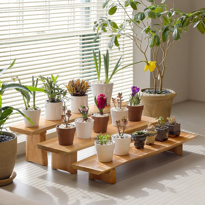 원목 화분받침대 60cm 진열대 선반 정리대 거치대, 1개, 마호가니 원목화분진열대 (60cm 소)