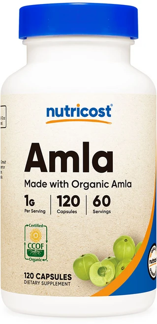 뉴트리코스트 암라 캡슐, 120정, 1개 - 쿠팡