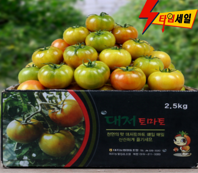 [제철초특가] 50박스한정 고당도 대저토마토 짭짤이, 1박스, 2.5kg(2L~L 대과)