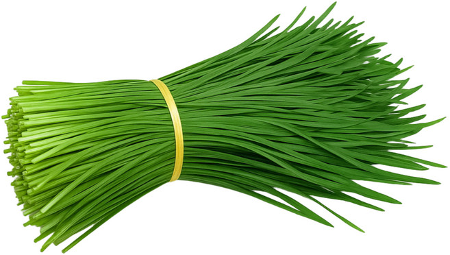 [맛통령] 국내산 싱싱한 부추, 1kg, 1개