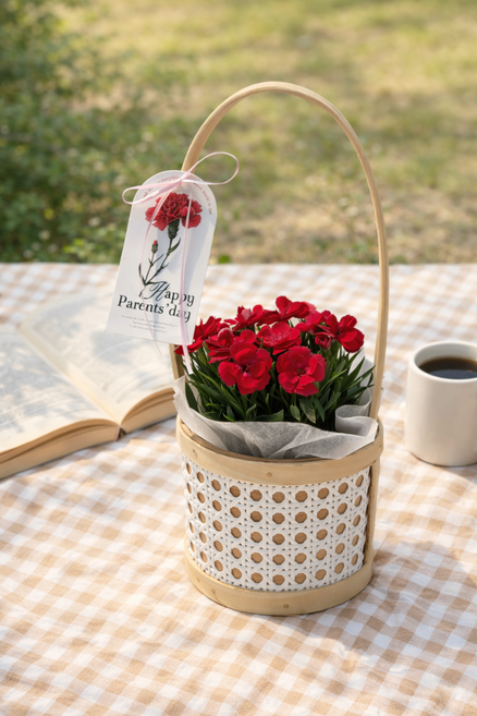 카네이션 생화 선물세트 어버이날 스승의날, 1개, 플라워바구니 카네이션 세트