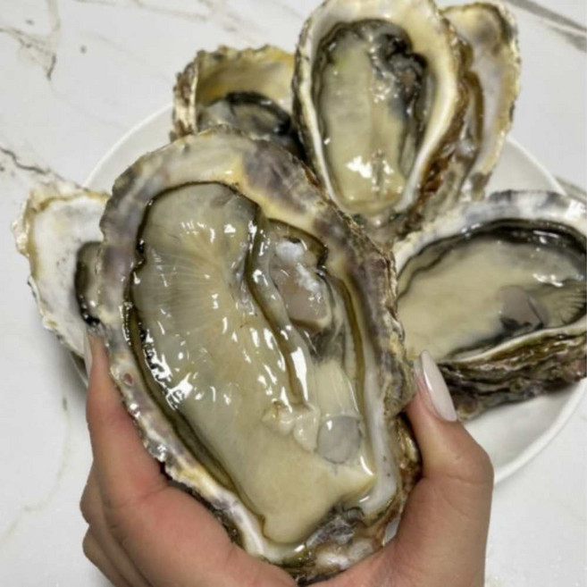 삼배체굴 대왕굴 개체굴 생굴 1kg 당일채취 발송, 1통