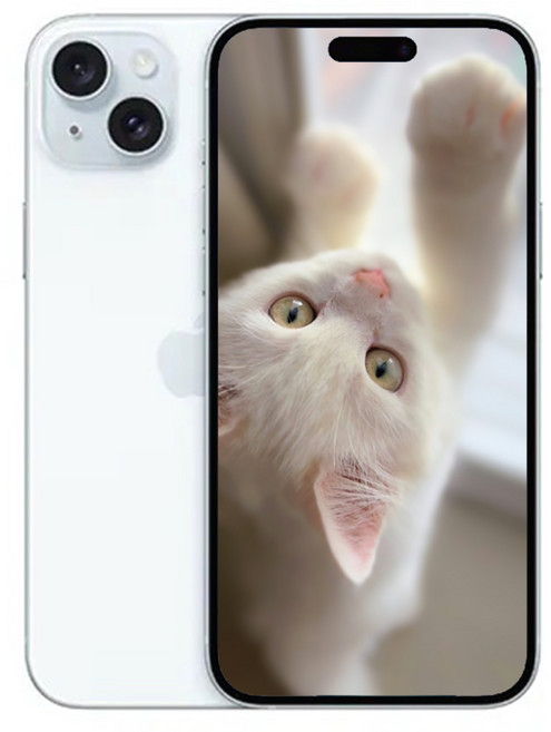 아E폰15 미개봉 새상품, 256GB, 아이폰 15 (블루)