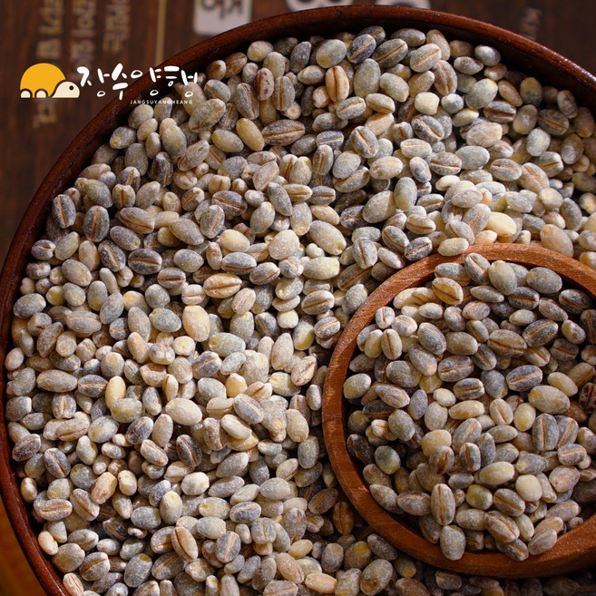 장수양행 청보리 800g 푸른색보리 유색보리 국산 2025년, 1개