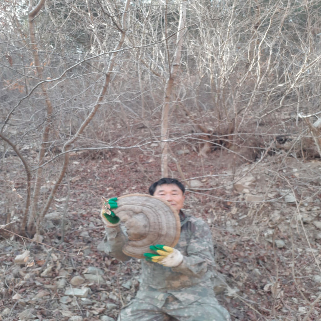 야생자연산 말굽버섯진액즙(110ml), 60개, 110ml