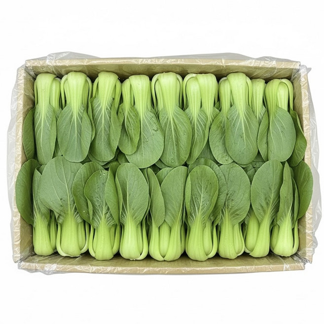 [신선보장]농진사 청경채 특품 국내산, 4kg, 1박스