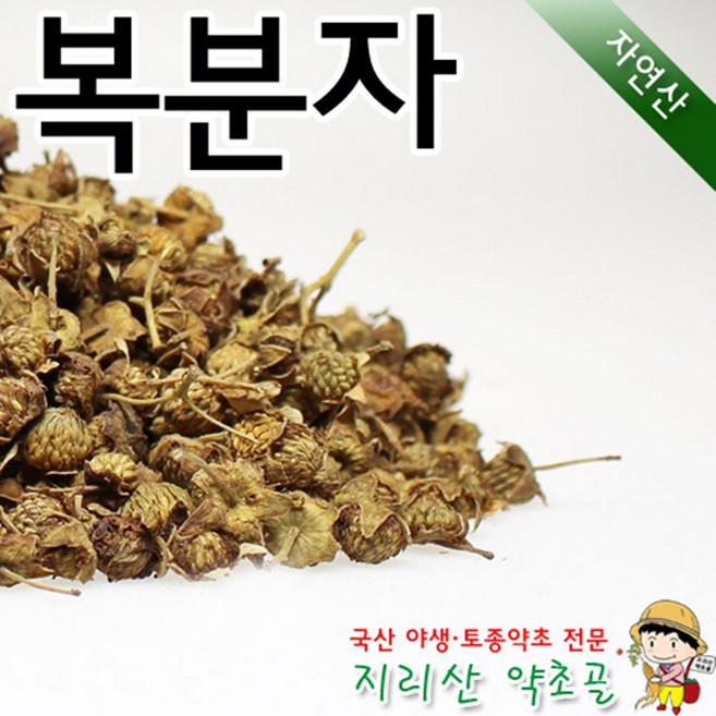 100%국내산 자연산 복분자 300g 산딸기 차 효능 효과 말린 건조 야생, 1개