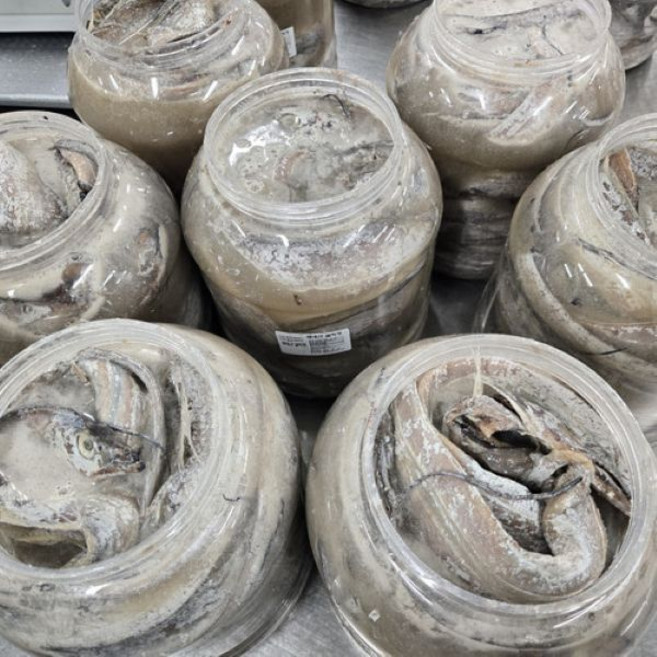 국내산 갈치젓갈 3kg.5kg, 1개, 3kg