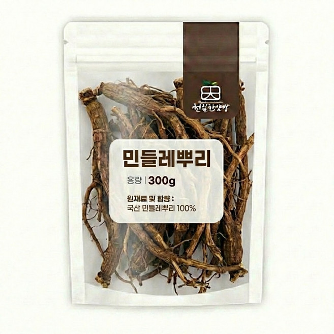 천일한약방 국내산 민들레뿌리 포공영 뿌리 흰민들레뿌리, 300g, 1개