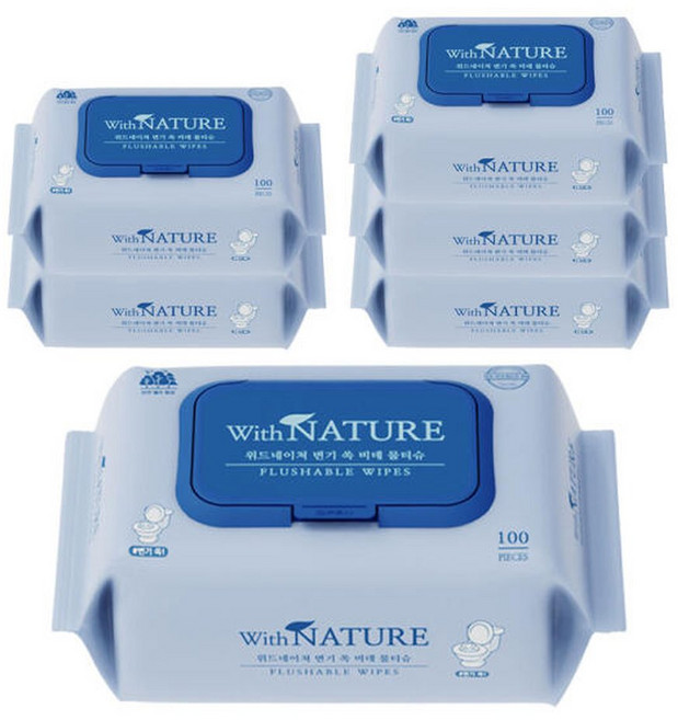 위드네이쳐 변기 쏙 비데 물티슈 100매 6팩 (600매) 프리미엄 텐셀 천연 펄프 함유 영유아 사용가능, 6개, 70g
