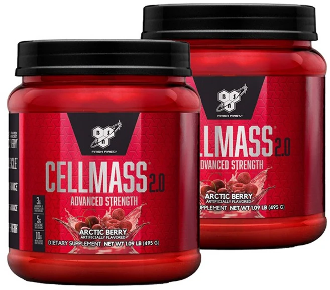 비에스엔 쎌매스 2.0 단백질 보충제 아크틱 베리 맛, 495g, 2개 - 쿠팡