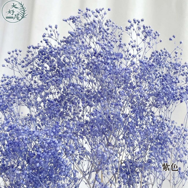 大好屋 迷你滿天星 百萬星 永生花乾燥花 花藝配花 室內裝飾, 百萬星, 紫色