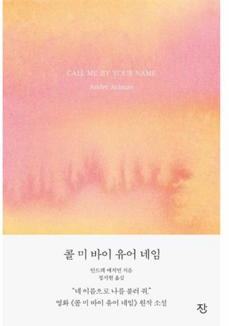 NSB9791190234016 새책-스테이책터 [콜 미 바이 유어 네임] -《그해 여름 손님》 리마스터판-콜 네임-잔(도서출판)-안드레, 콜 미 바이 유어 네임