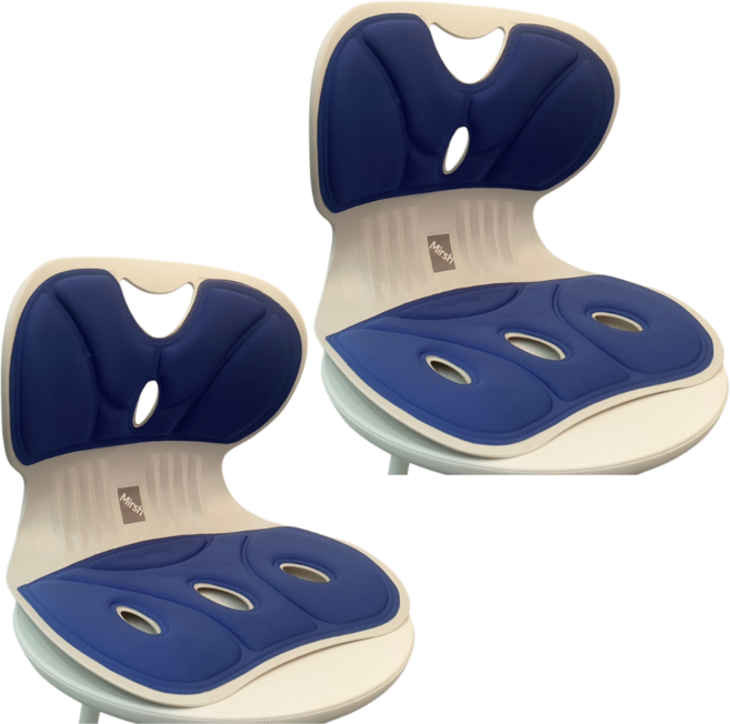 Mirsh [ 1+1 ] 바른자세 등받이 허리보호 자세보정 의자, 블루