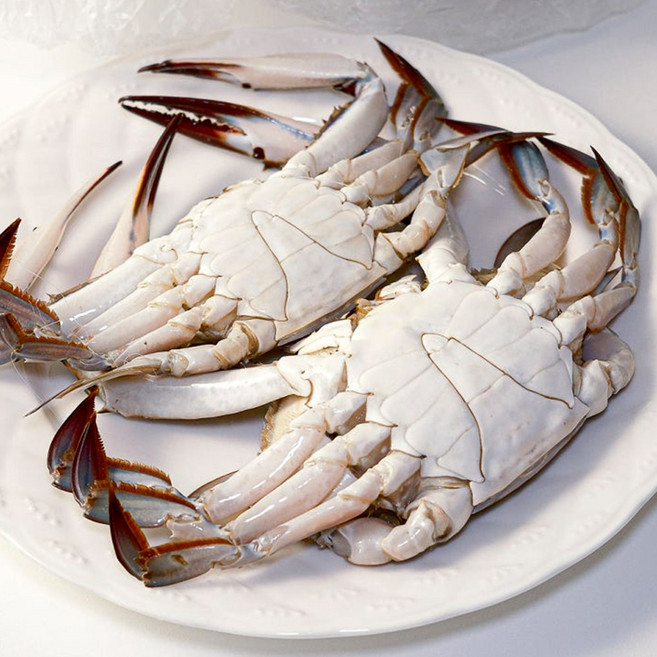 7위 - 서해안 가을 꽃게 2kg (6~10미) 당일조업 산지직송, 1박스, 생물2kg(6~10미)