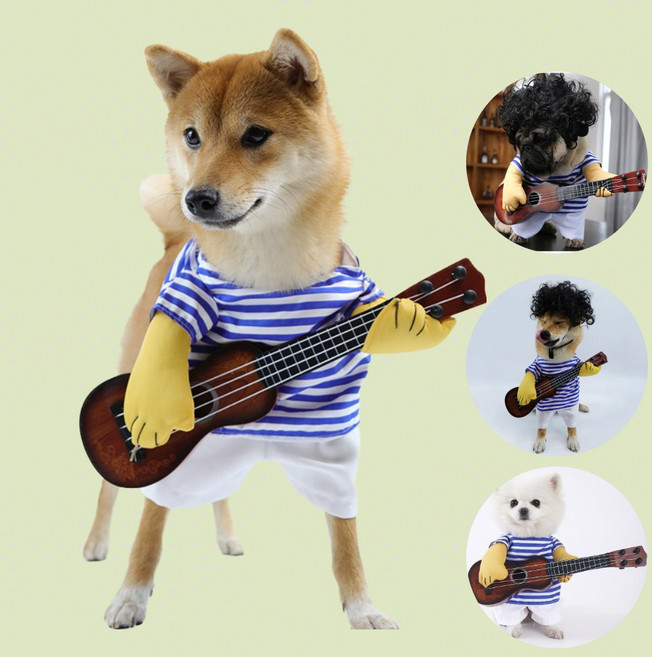 이오리아 기타치는 강아지 코스튬 반려동물 할로윈 의상, 1개