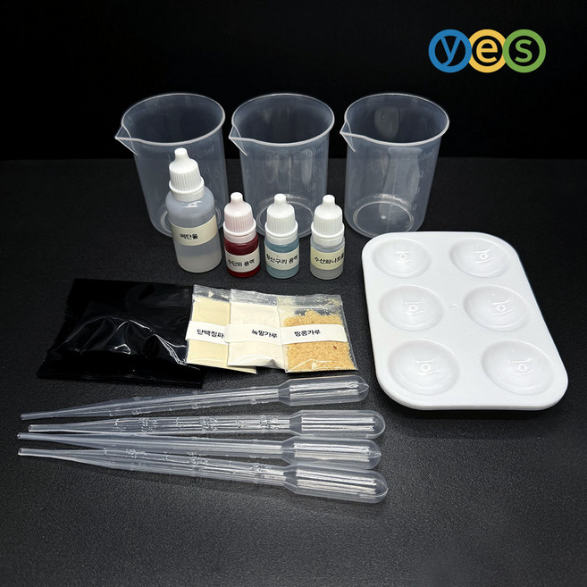 예스 탄수화물 단백질 지방 검출 실험 키트 | 초중등 과학 실험세트 YES-C6, 1세트