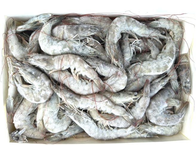 흰다리새우 중 40/50 2kg 페루 왕새우 대하 냉동새우, 1개, 2kg (80-100미)