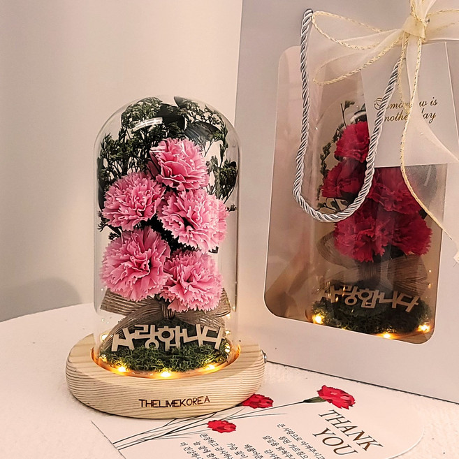 더라임코리아 투게더 카네이션 유리돔 무드등 어버이날 선물, 핑크, 1개