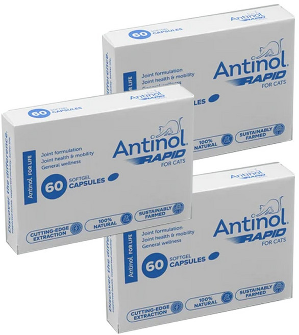 안티놀(Antinol) 안티놀 래피드 (고양이 관절 영양제) 60 소프트젤 캡슐 X 3개