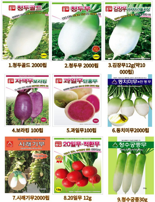 김장무씨앗 배추 알타리 열무 시래기무 갓 양파 씨앗 종자 김장채소 모음세트, 1개