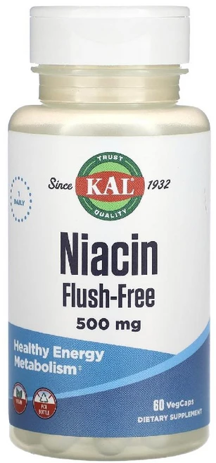 KAL 니아신 플러시 프리 500mg 60 베지캡슐, 60정, 1개 - 쿠팡